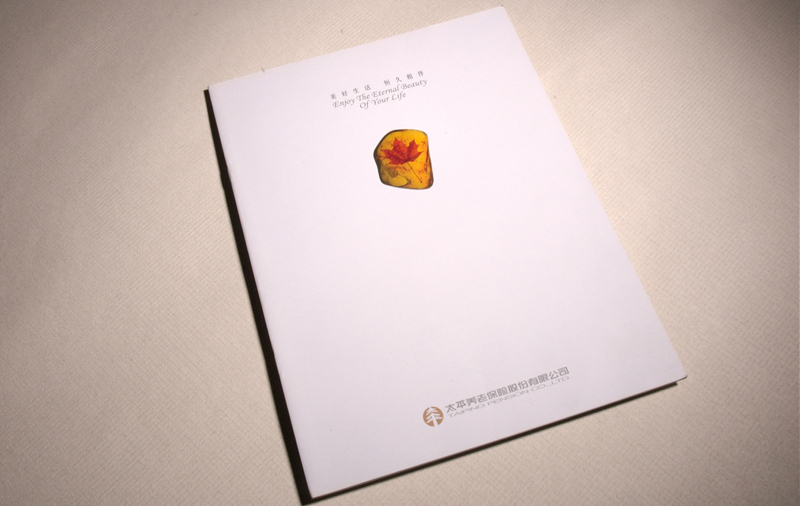 宣傳冊(cè)