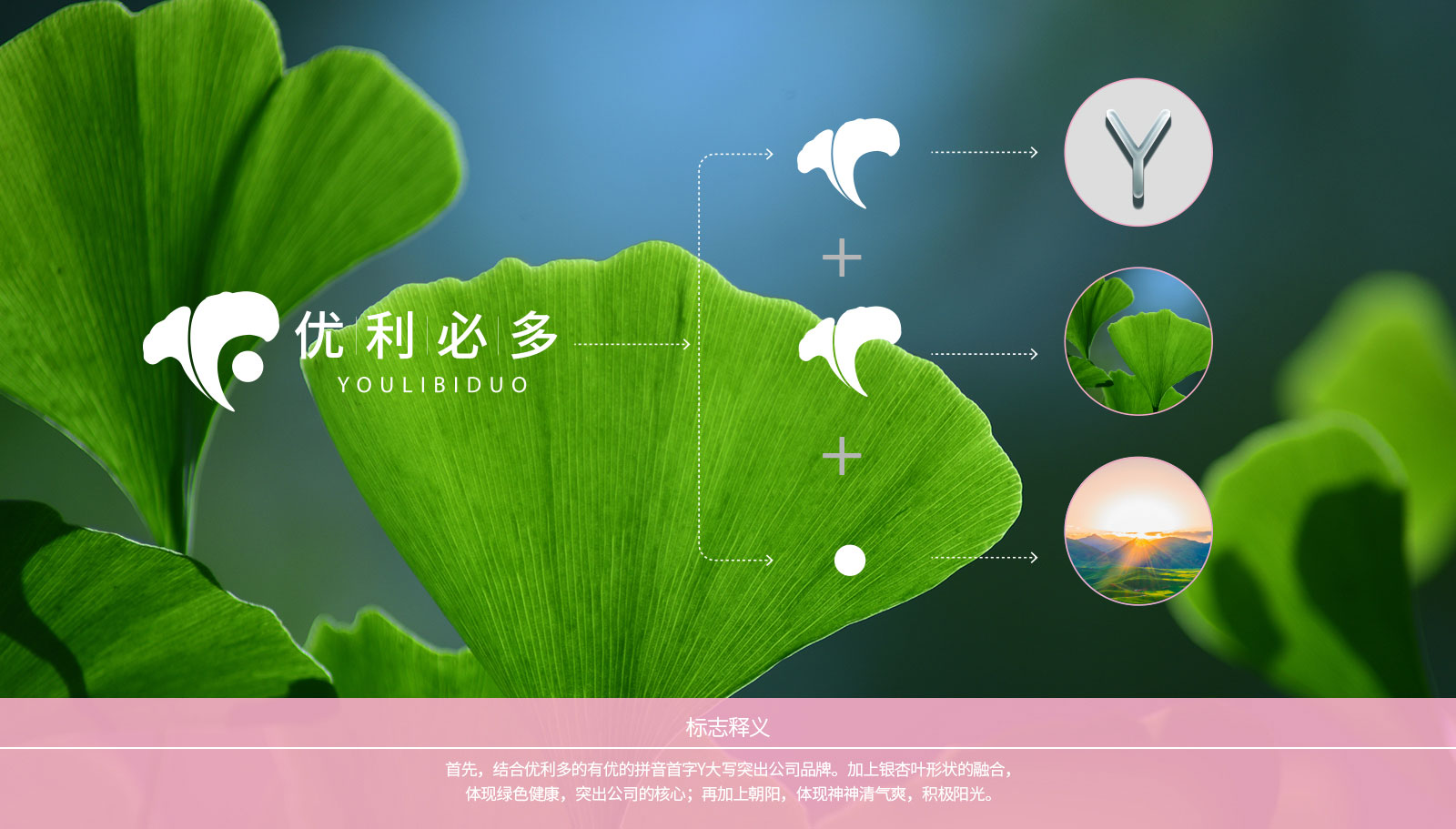 1562672851492596.jpg 金康醫(yī)藥品牌策劃設(shè)計一次性通過